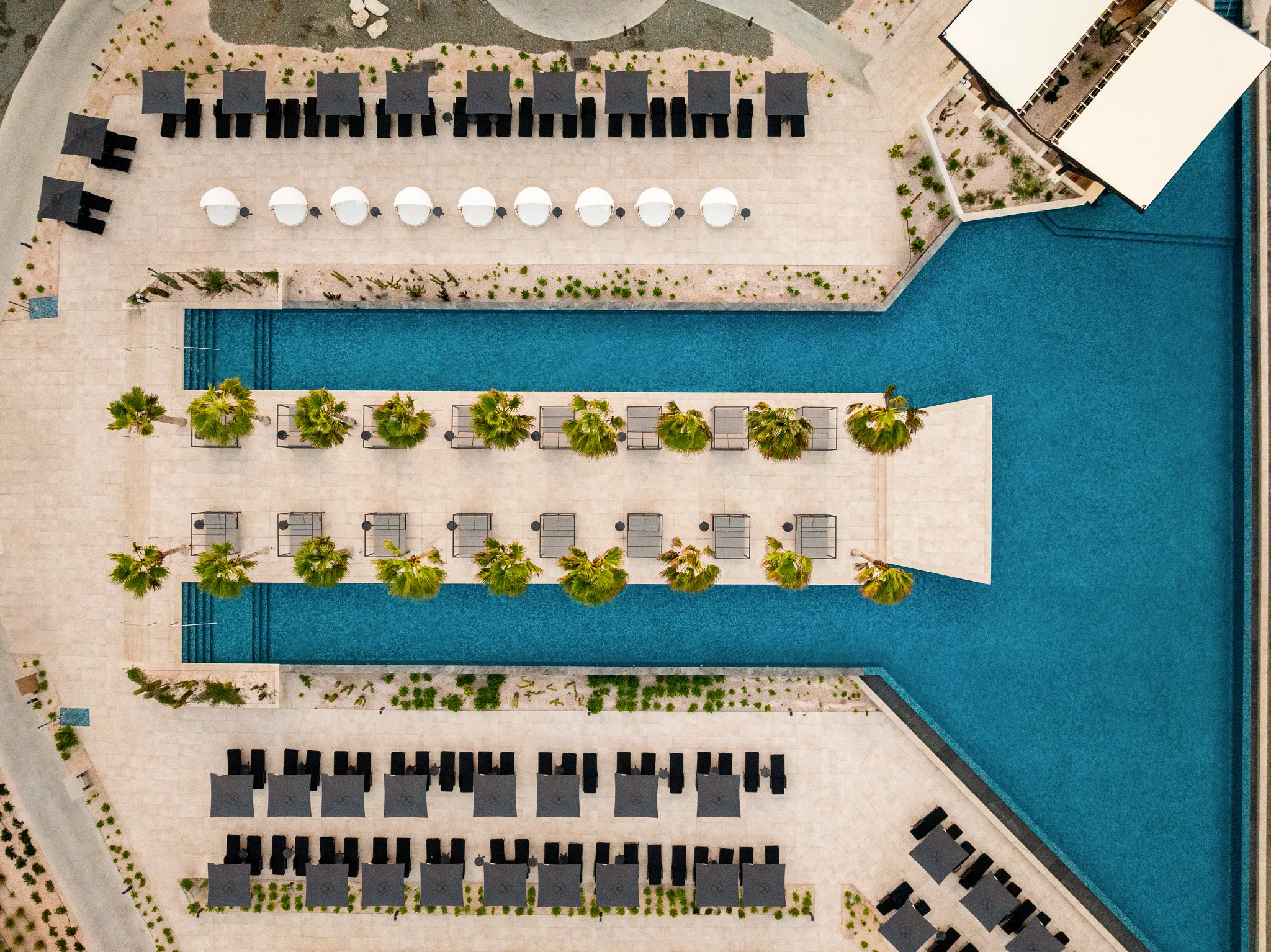 Aerial view of the infinity-edge pool and cabanas at Secrets Baby Beach Aruba.