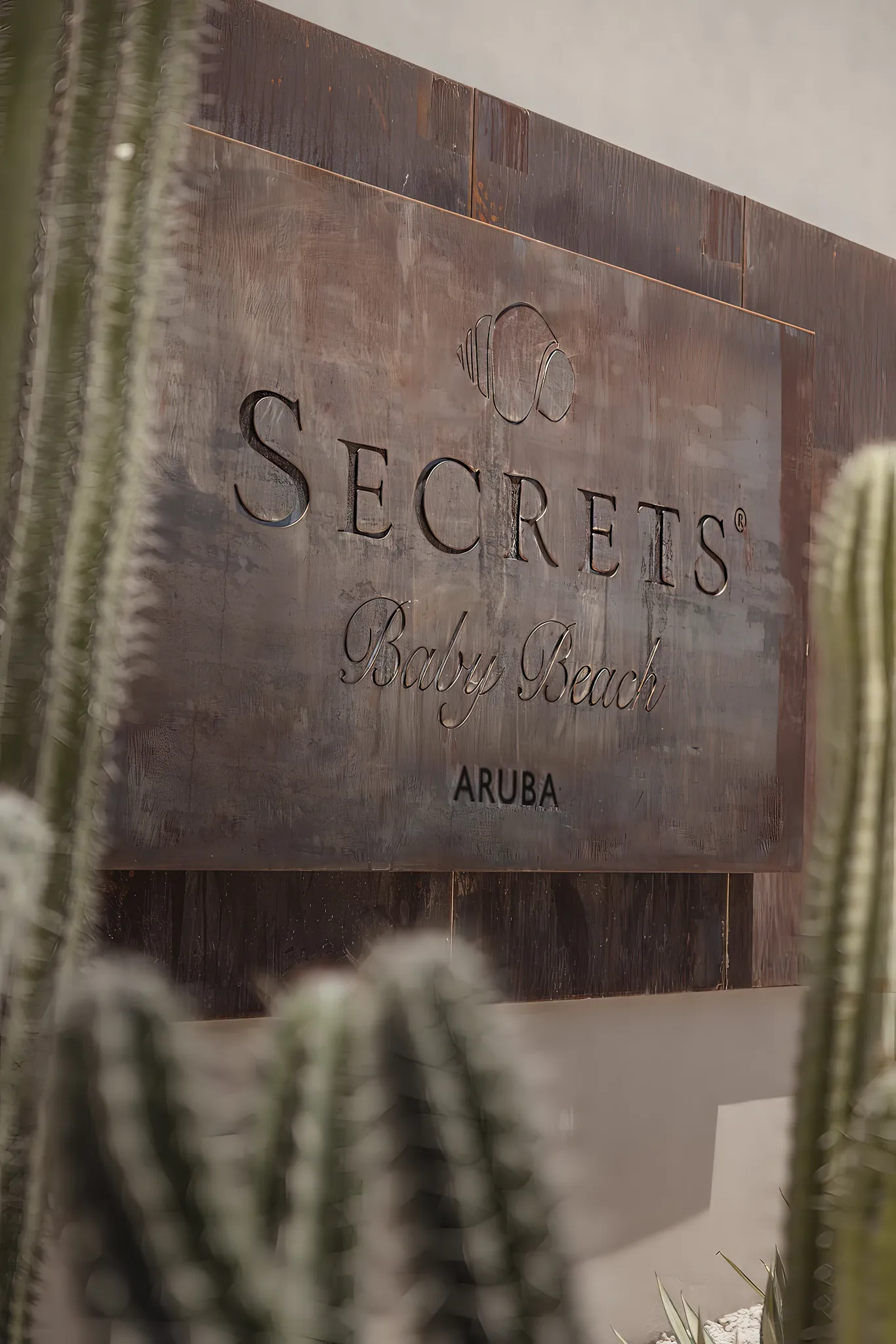 Close-up of the Secrets Baby Beach Aruba resort sign framed by cacti.